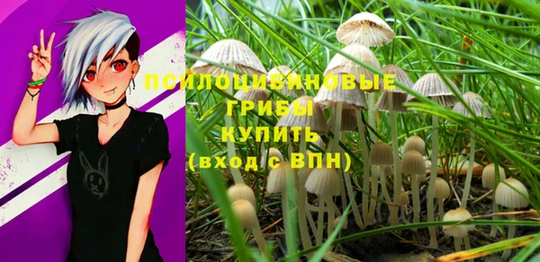 mix Аркадак