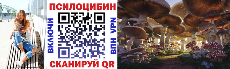 Псилоцибиновые грибы MAGIC MUSHROOMS  Луховицы 